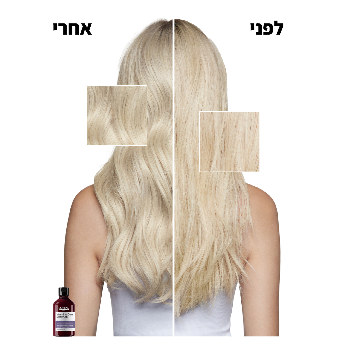 ויטמינו קולור ספקטרום – שמפו סילבר סגול לשיער צבוע