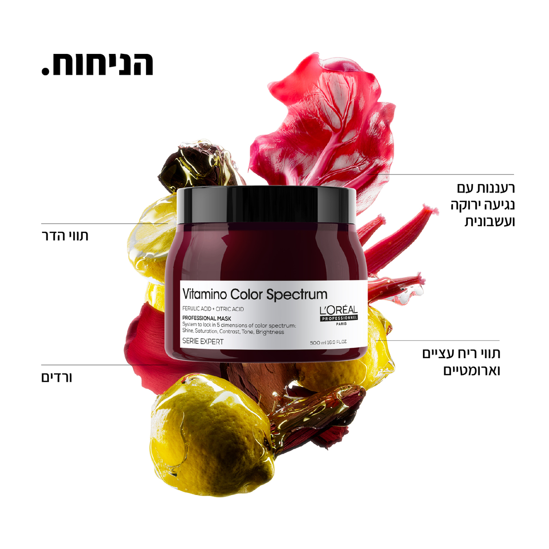 ויטמינו קולור ספקטרום -מסכה להגנה על שיער צבוע