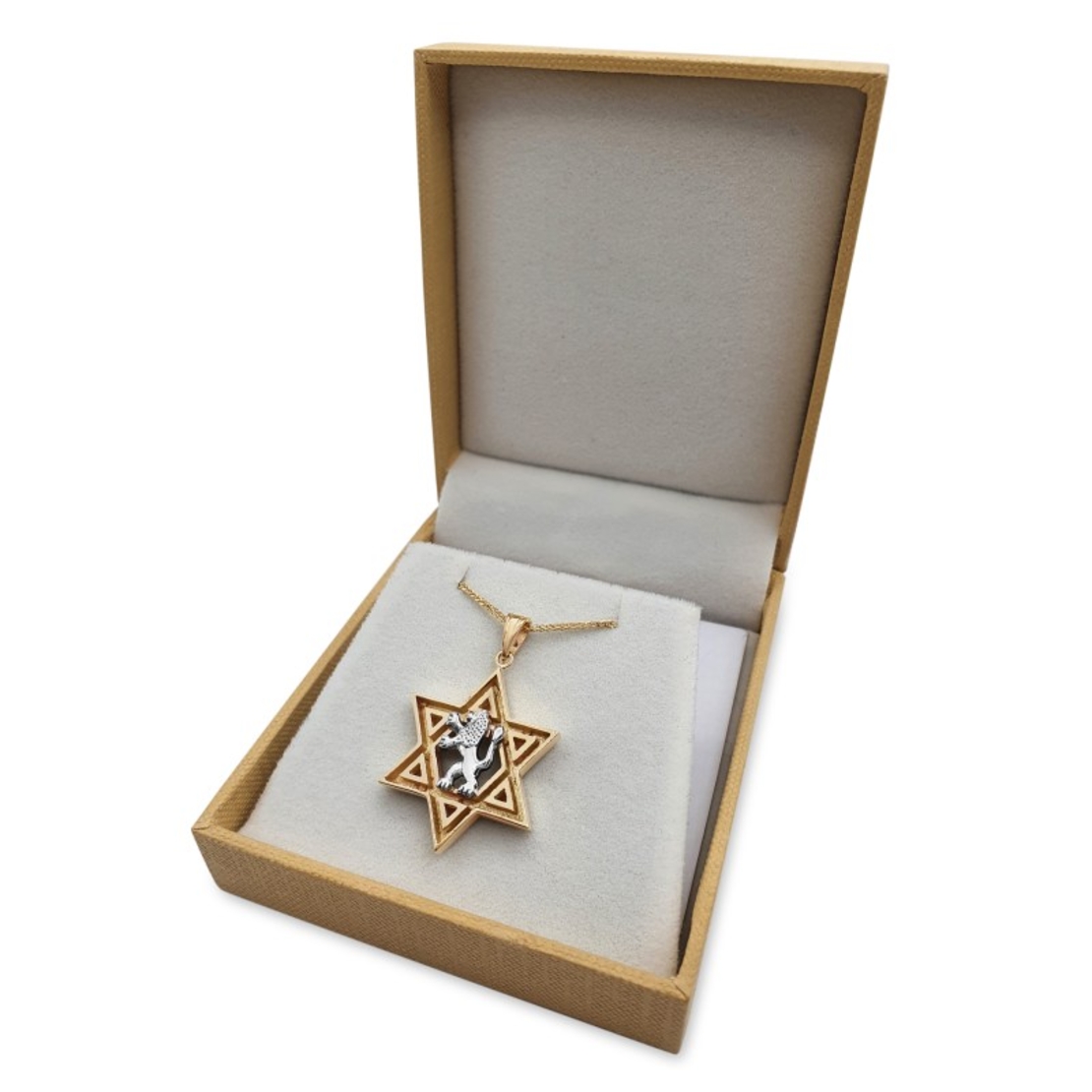 Star of David and White Gold Lion of Judah Pendant