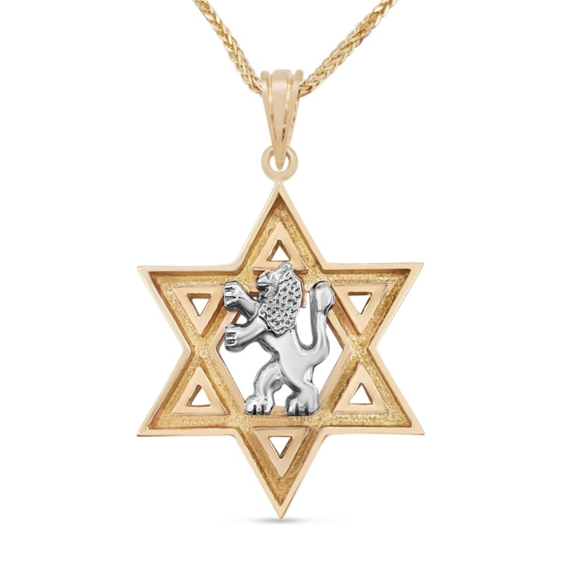 Star of David and White Gold Lion of Judah Pendant
