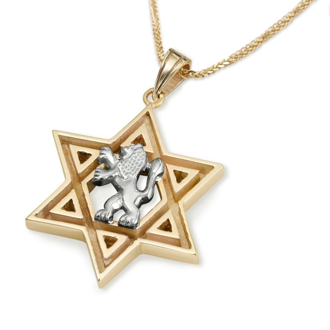 Star of David and White Gold Lion of Judah Pendant