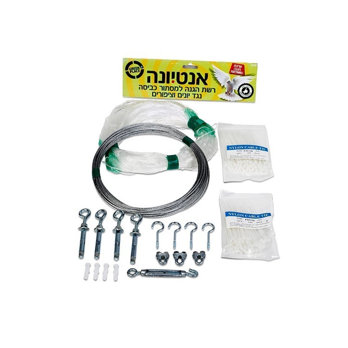 אנטיונה 