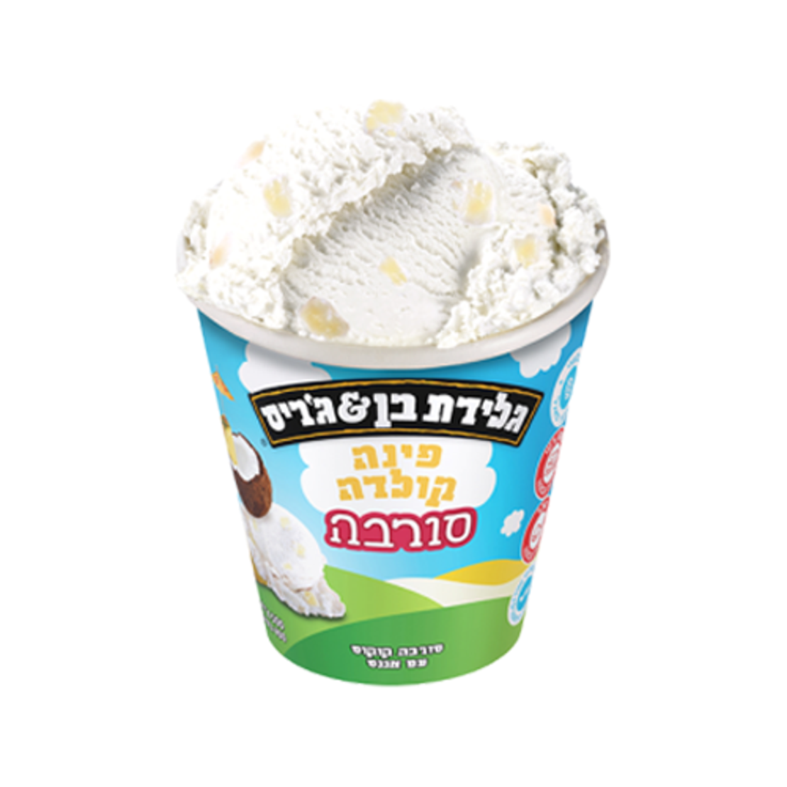 בן & ג'ריס - פינה קולדה סורבה 500 מ