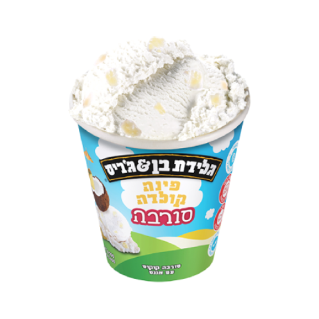 בן & ג'ריס - פינה קולדה סורבה 500 מ