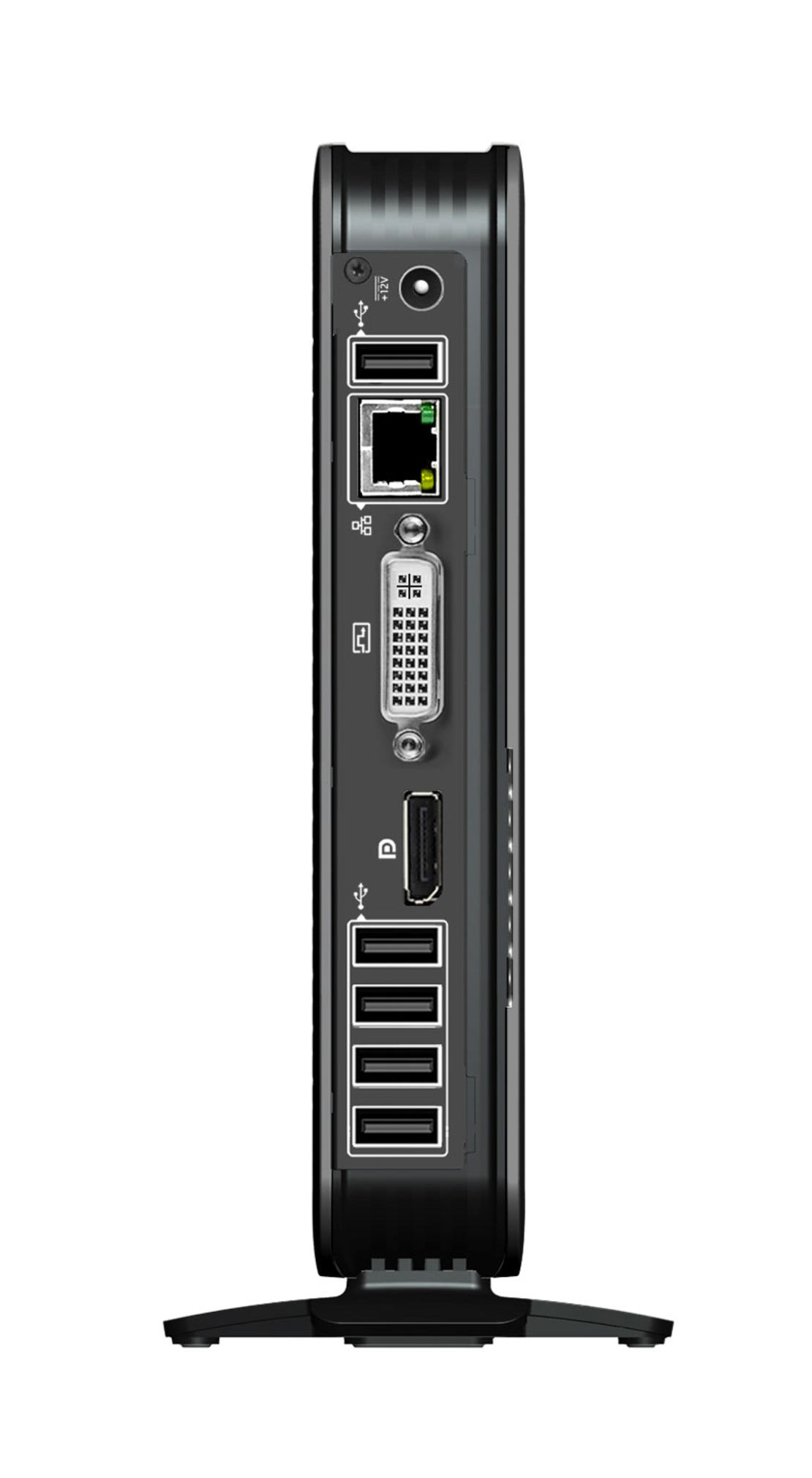 SPTCF31
