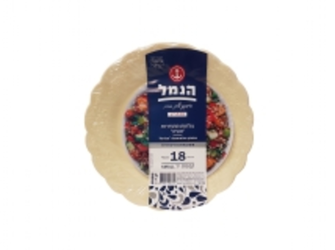 צלחות מהודרות 