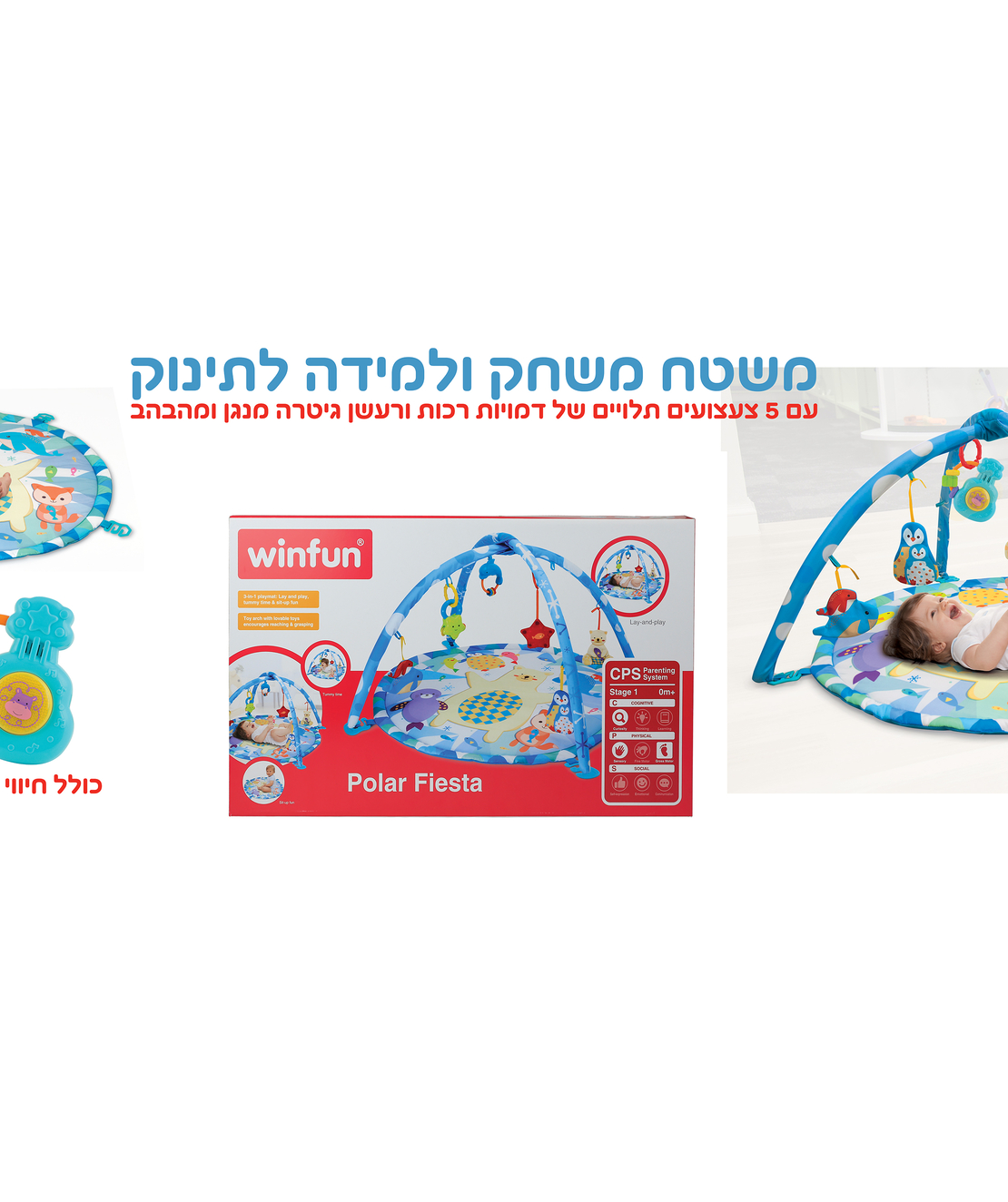 אוניברסיטה דב קוטב 