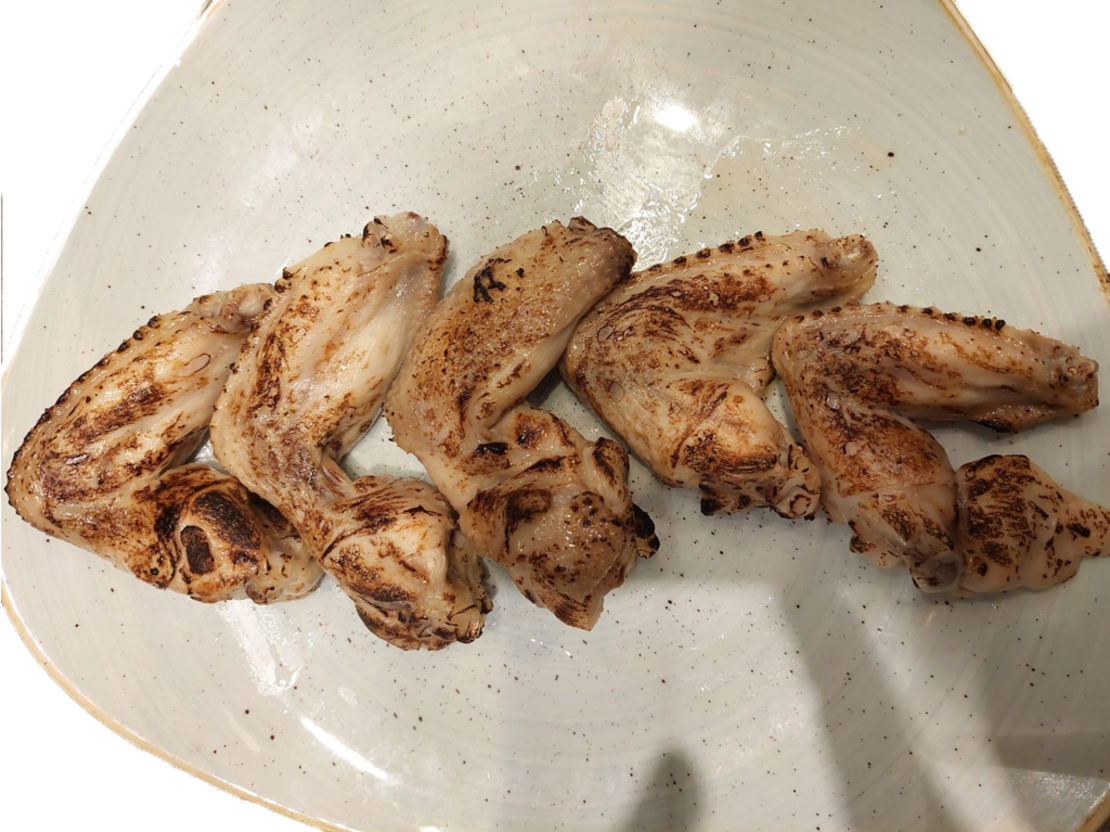 זרוע (כנף צלויה) - 5 יחידות