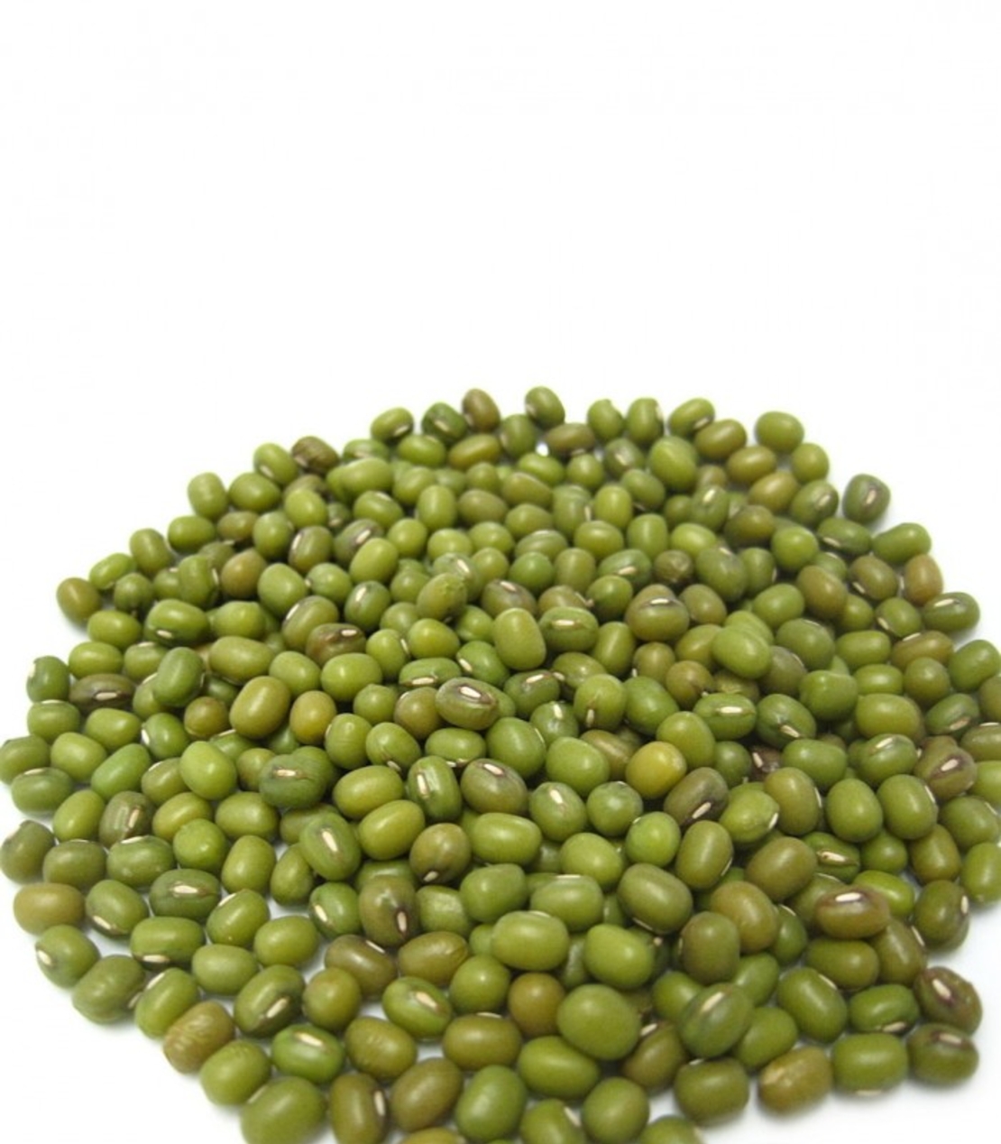 שעועית מאש