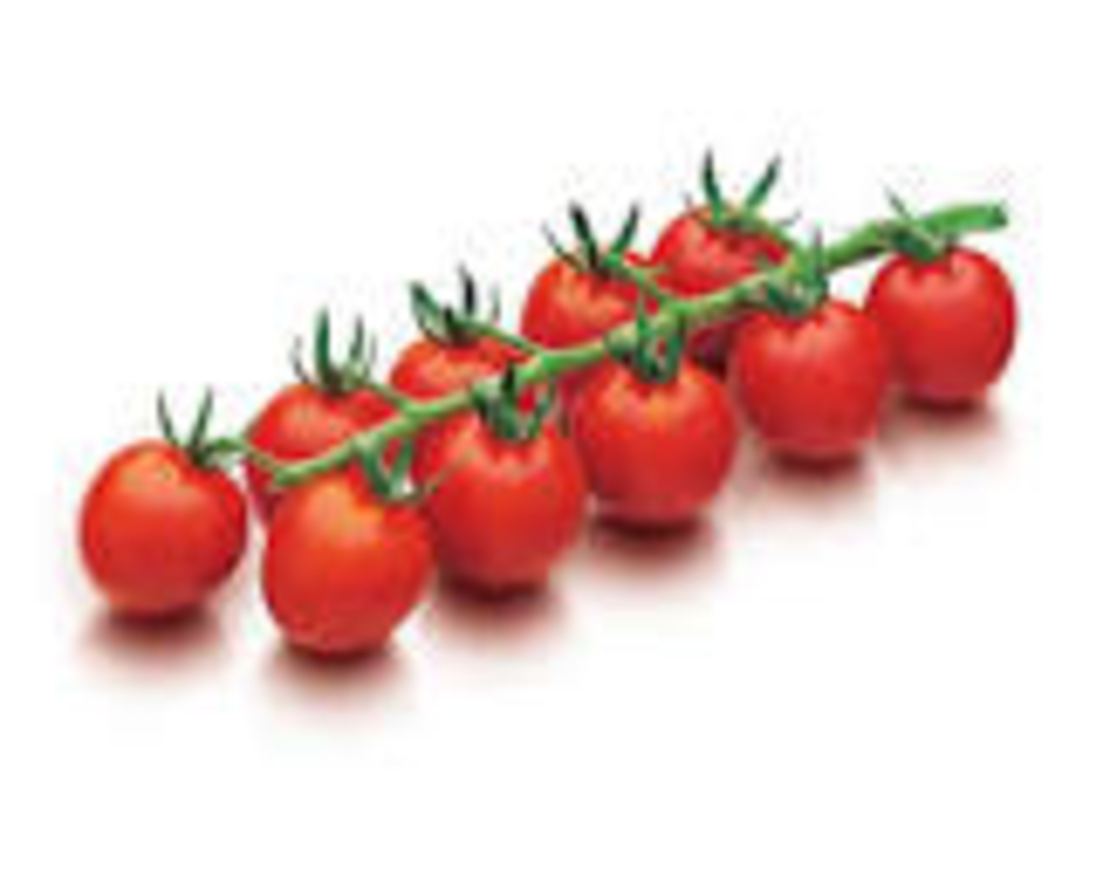 עגבניות שרי אשכולות