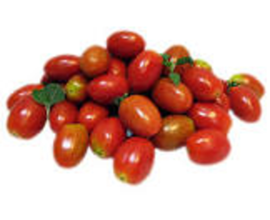 עגבניות שרי תמר