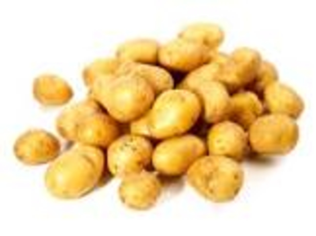 תפוח אדמה לבן גלי משה (2.800)