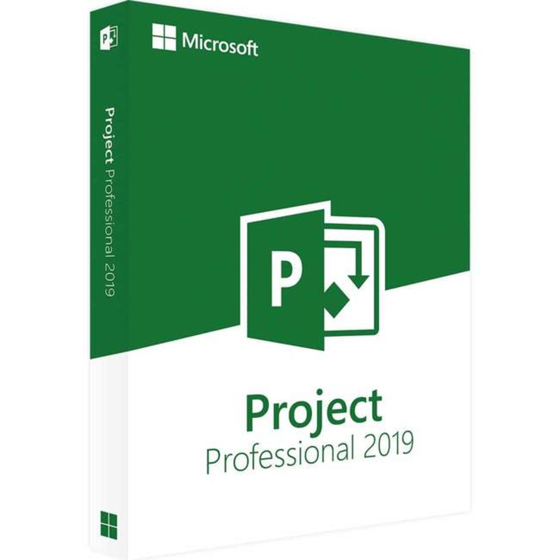 Project Pro Professional 2019