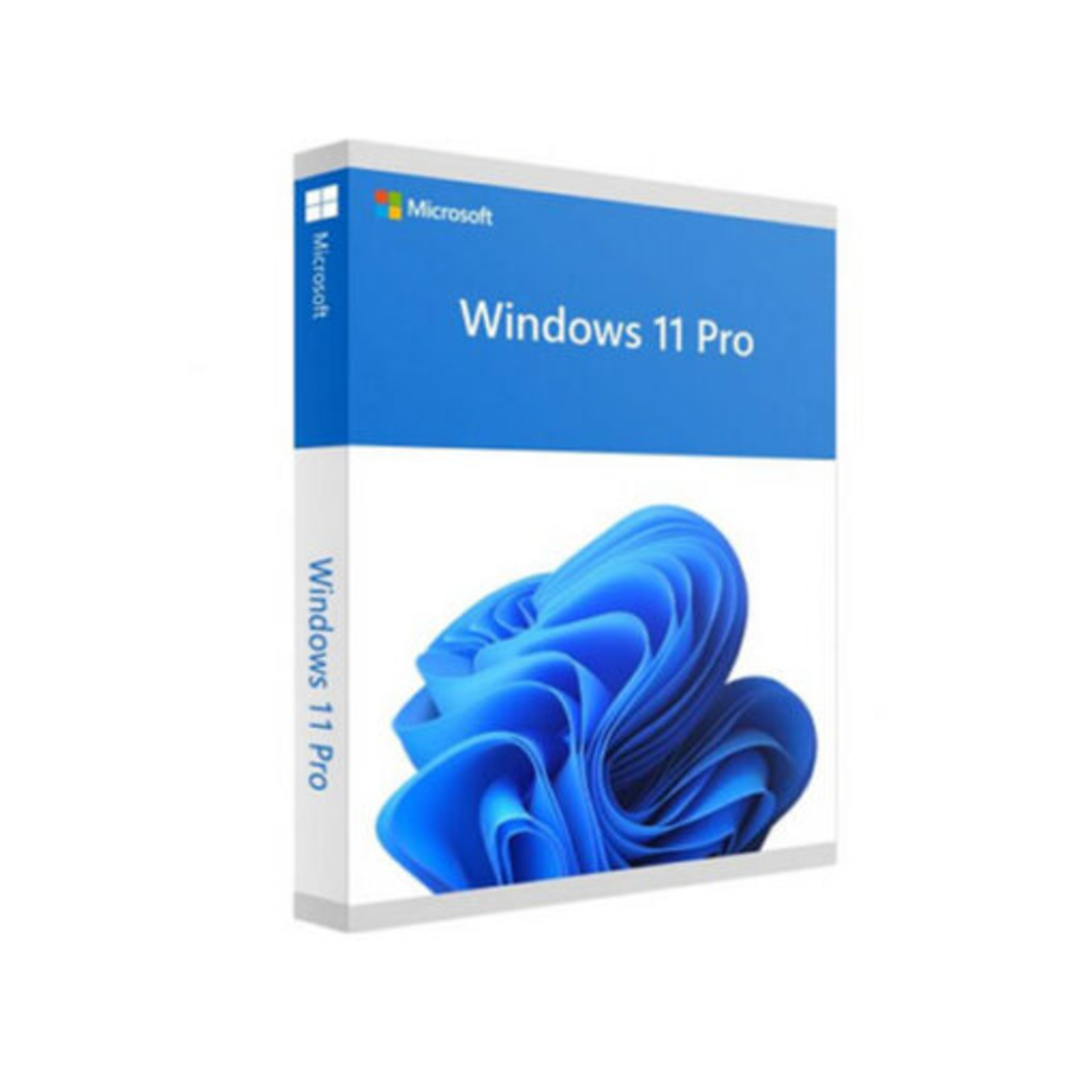 Windows 11 Professional Retail