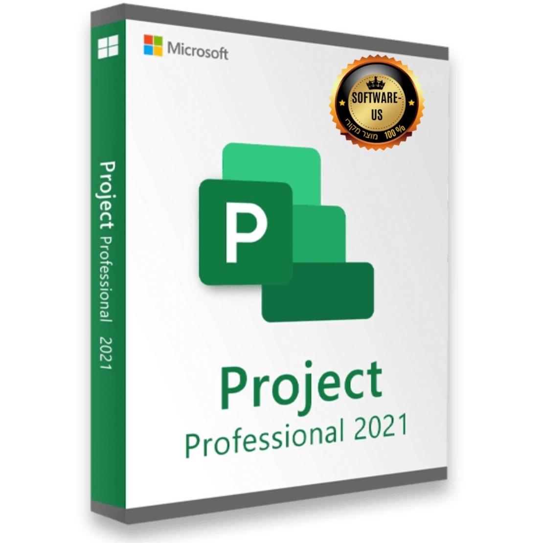 פרוג'קט 2021 פרו | Microsoft Project Professional 2021 (עותק דיגיטלי)