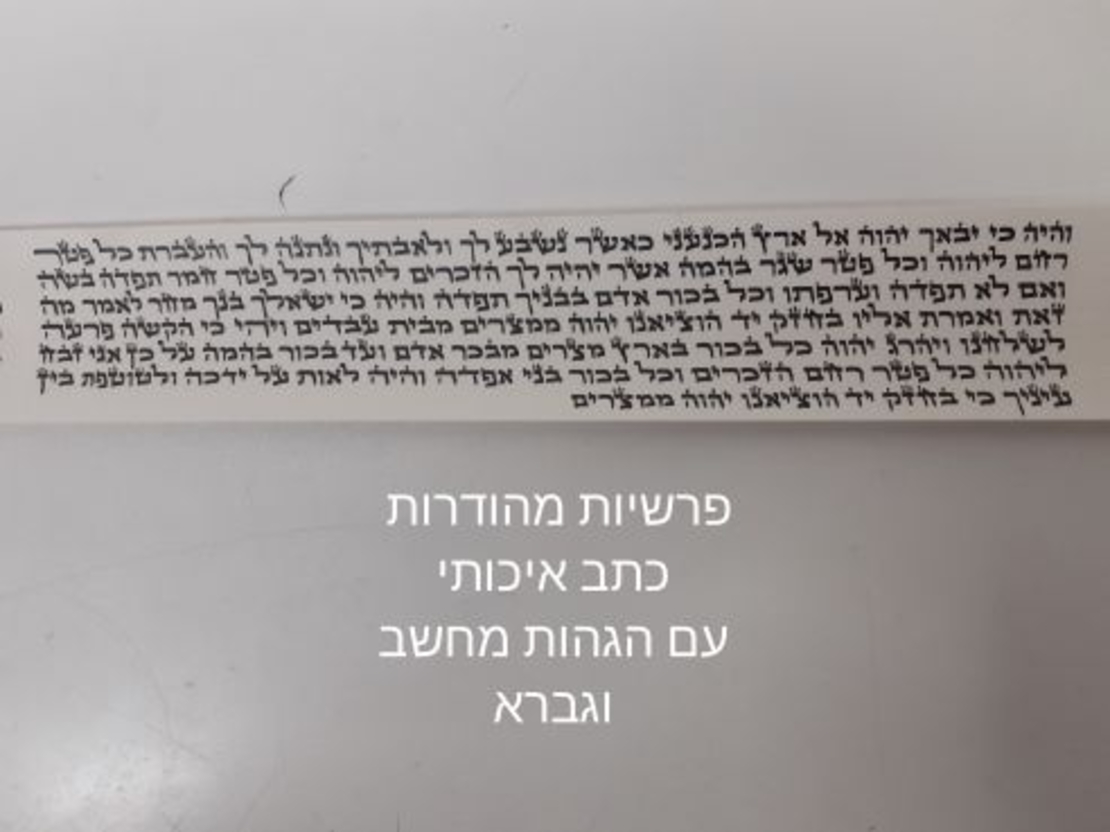 תפילין בהמה גסה מהודרים דגם הדר בתים פרודים רמת גימור גבוהה , רבוע רגל,עור אמריקאי, רצועות שחורות 2 צדדים עבודת יד ,פרשיות מהודרות