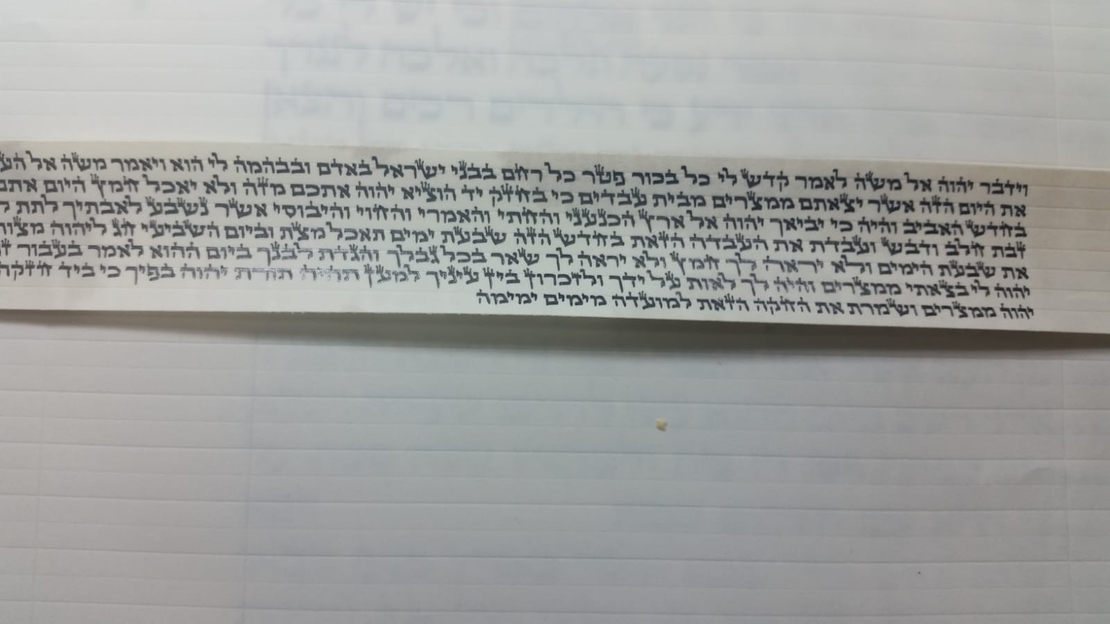 תפילין בהמה גסה דגם תפארת מהודרים  אא רמת גימור מיוחדת- צביעה יחודית, רבוע רגל מכוונות, עור אמריקאי משובח, בתי התפילין פרודים ,רצועות שחורות 2 צדדים עבודת יד ,פרשיות מהודרות.