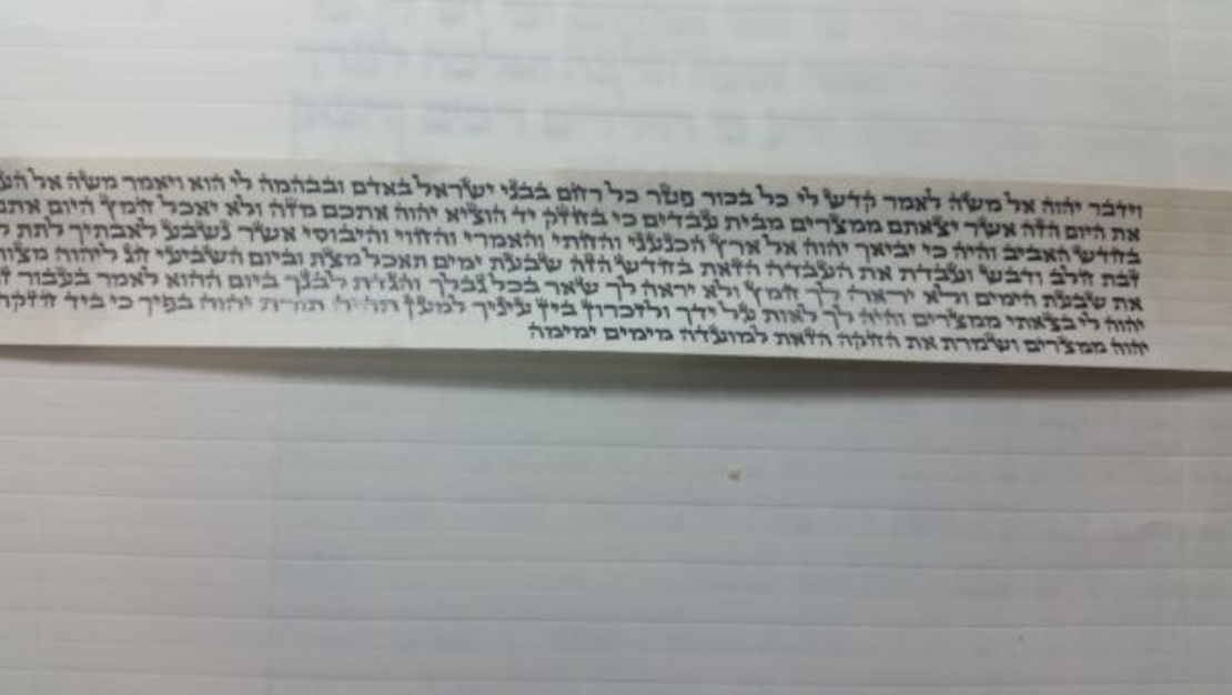 תפילין בהמה גסה מהודרים רבוע רגל - מכוונים רמת גימור גבוהה ,  רצועות שחורות 2 צדדים ,פרשיות מהודרות