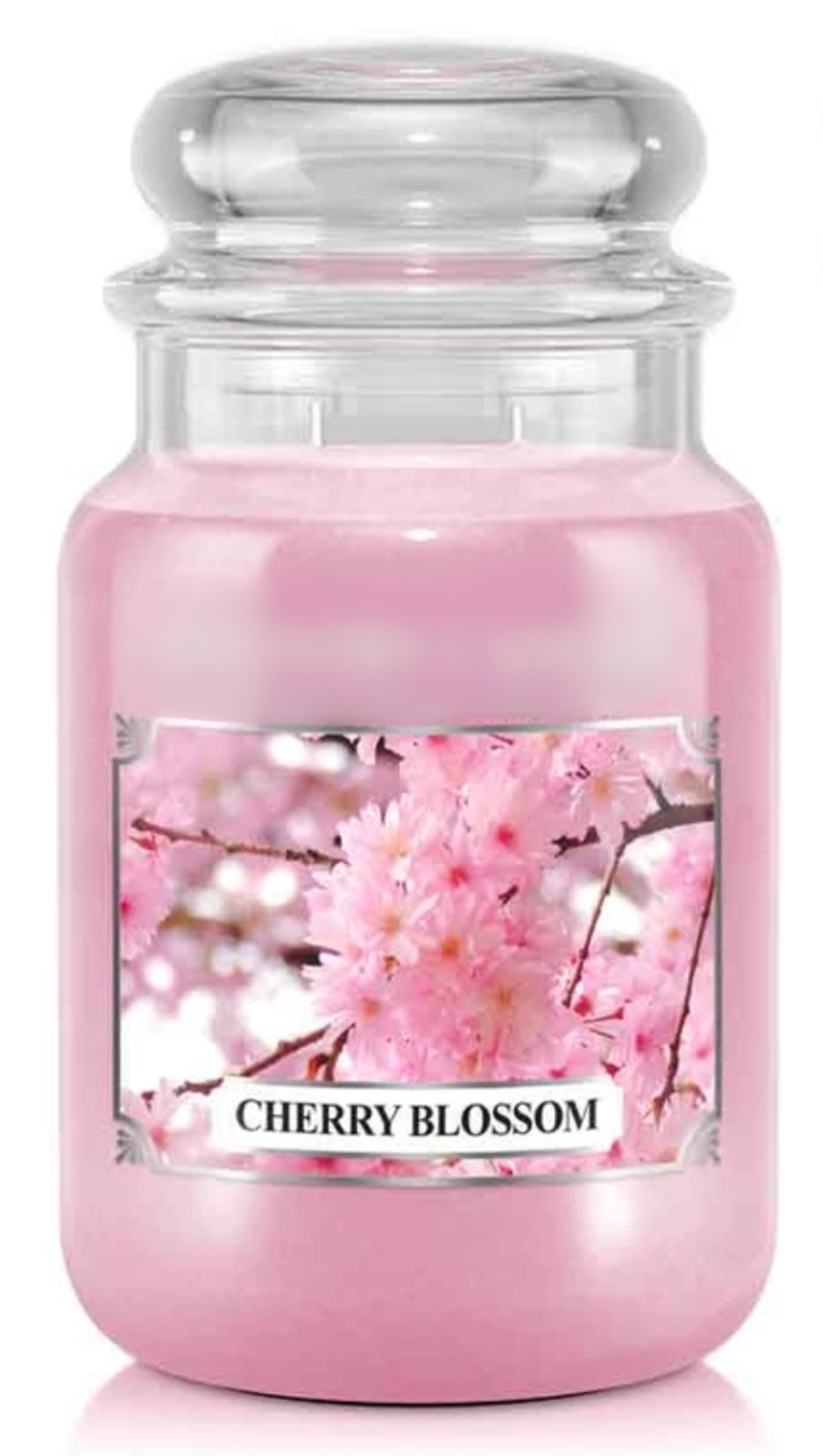 נר בריח פריחת הדובדבן-cherry blossom