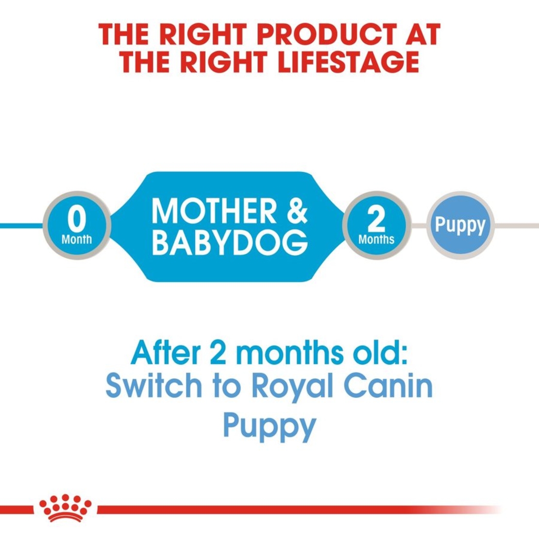 שימור רויאל קנין מיני סטרטר לכלבים 195 גרם - Royal Canin mini starter