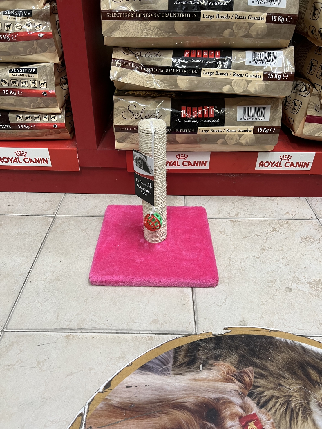 מתקן גירוד לחתול קטן