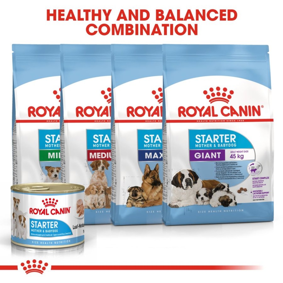 שימור רויאל קנין מיני סטרטר לכלבים 195 גרם - Royal Canin mini starter
