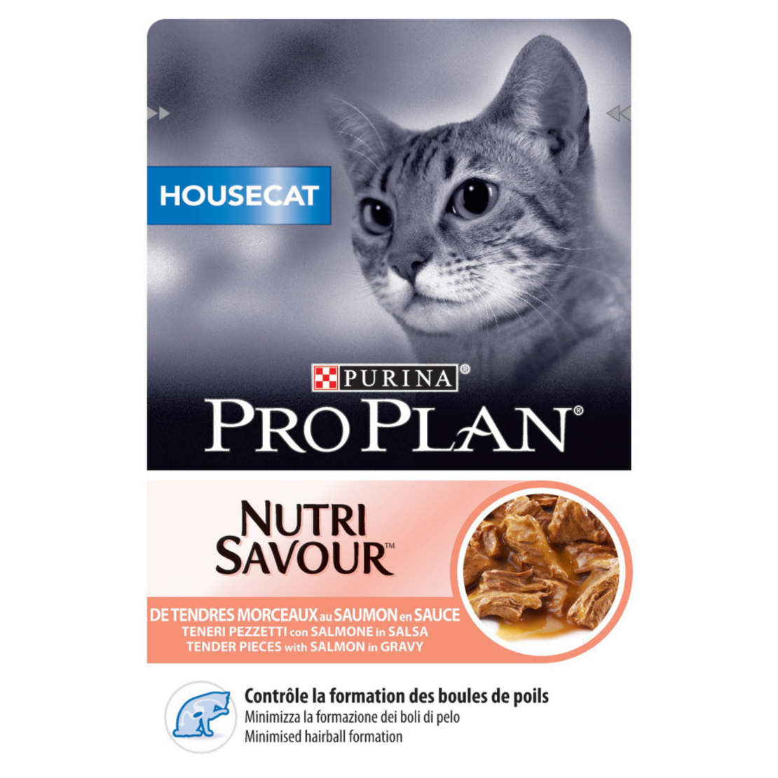 פרו פלאן חתול פאוצ' סלמון HOUSECAT