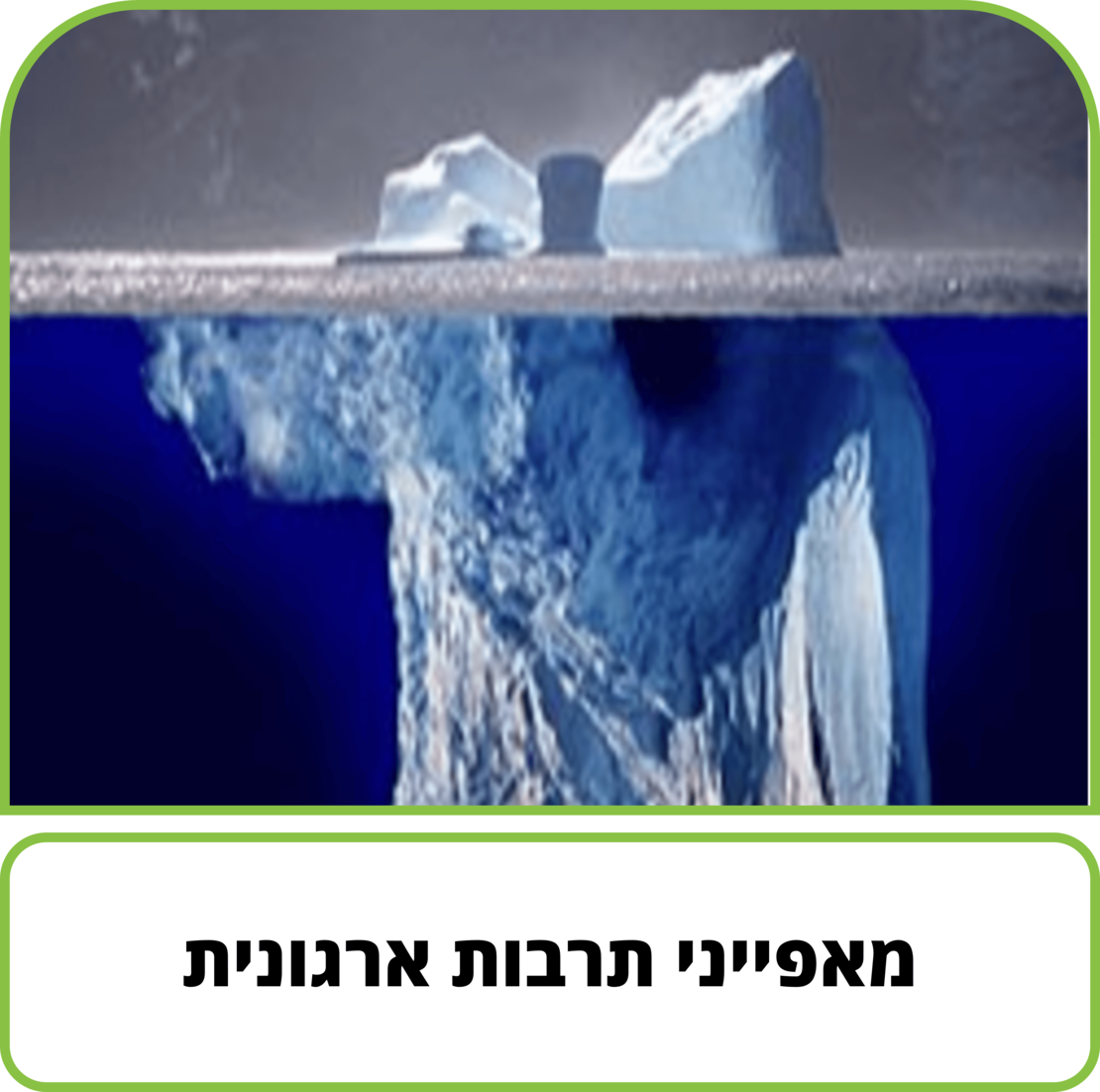 קורס דיגיטלי - מאפייני תרבות ארגונית