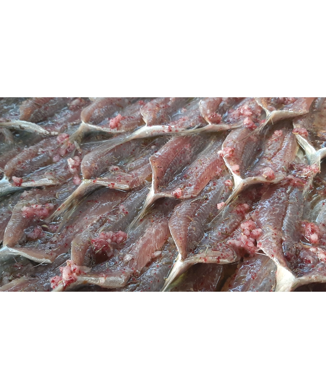 אנשובי טרי+ מרינדה