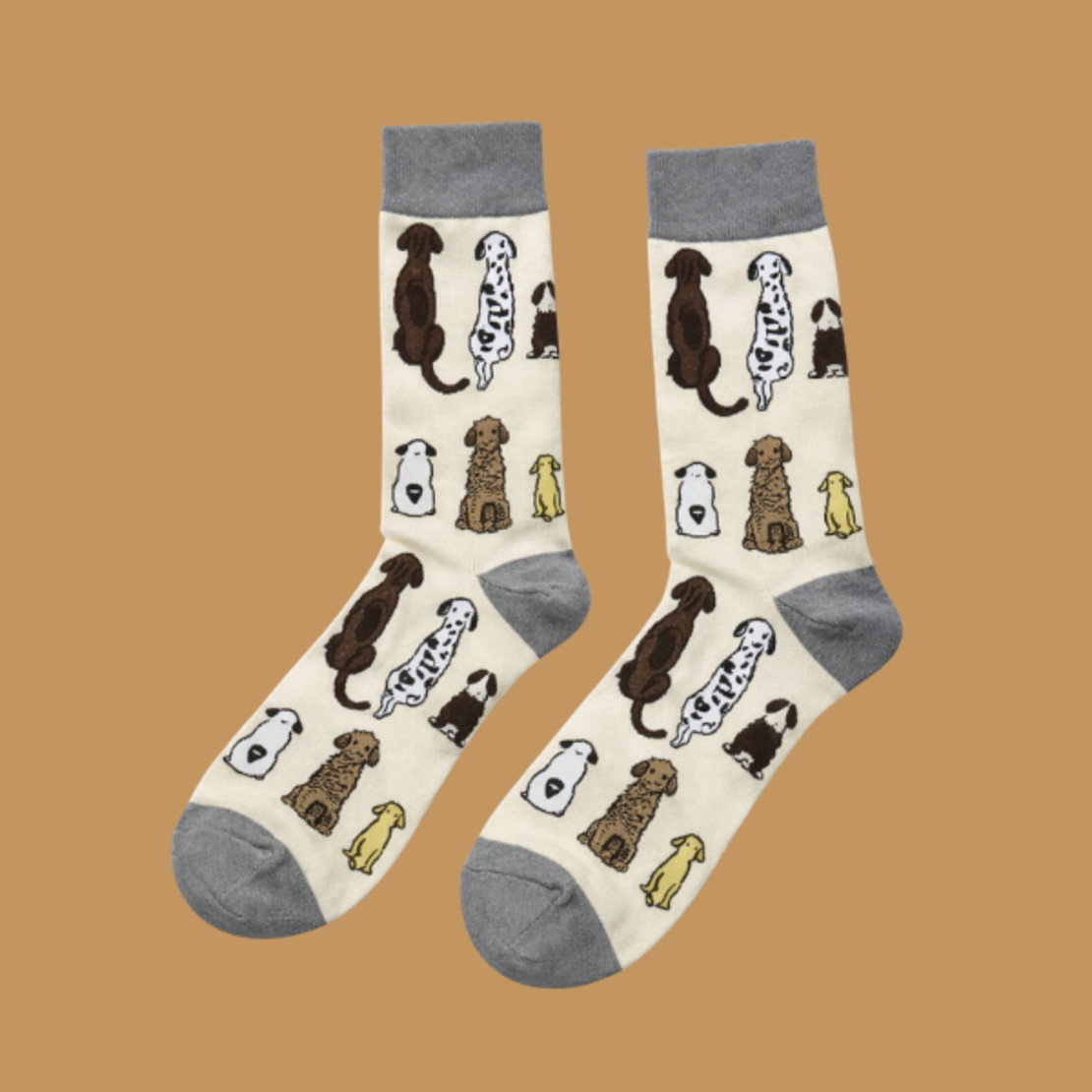 גרביים מעוצבים כלב מתצפתים