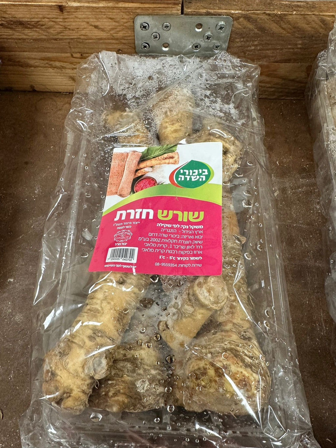 חזרת