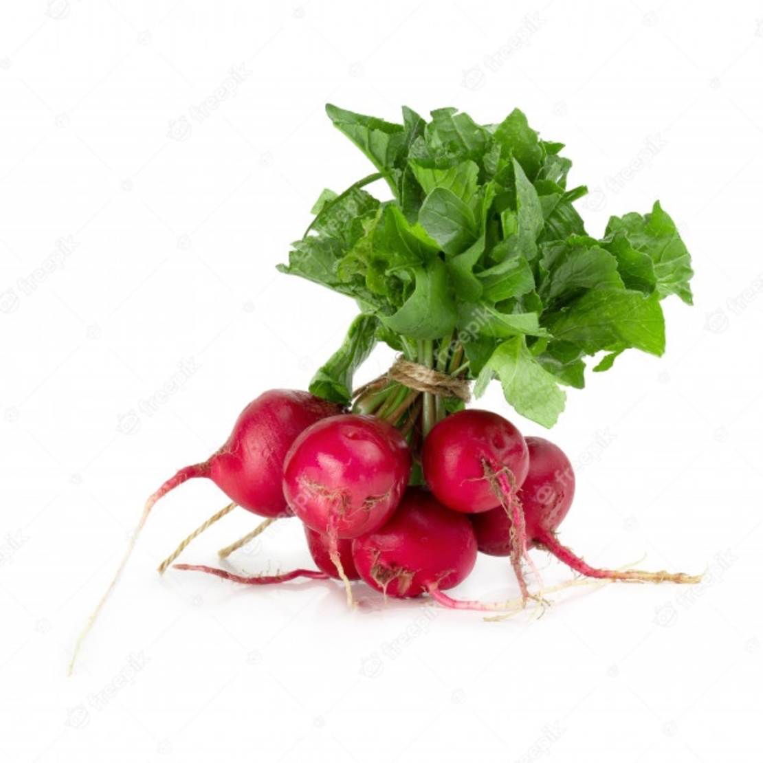 צנונית ארוז