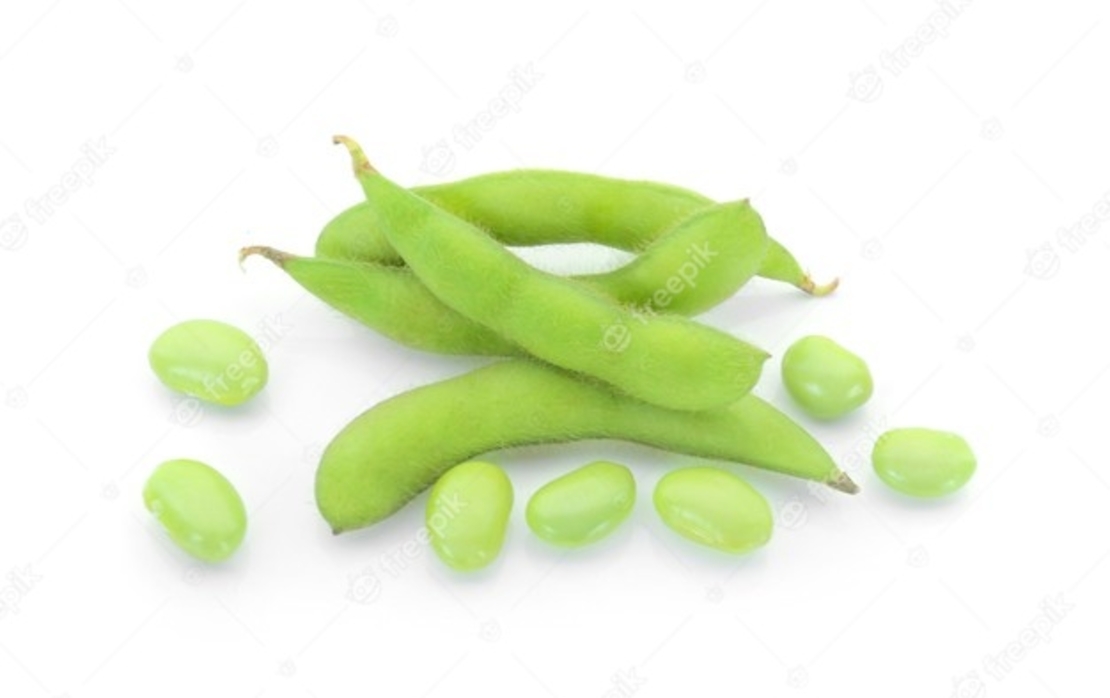 אדממה