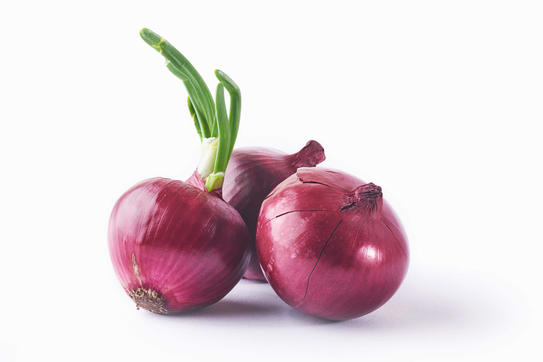 בצל סגול