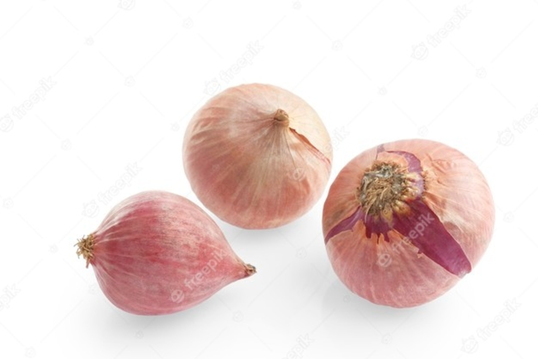 בצל שאלוט