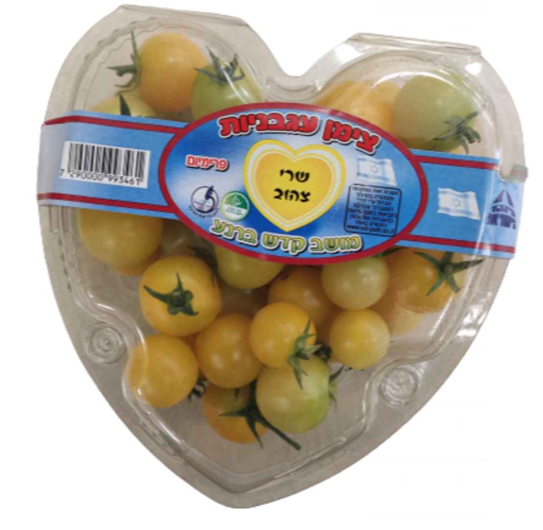 שרי צהוב ארוז