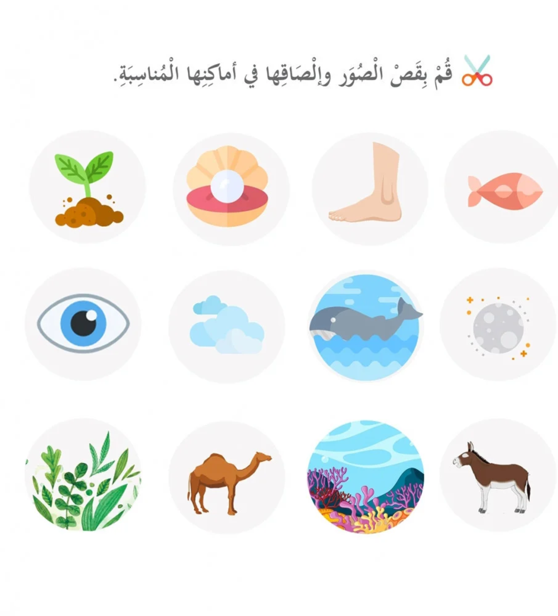 خلق فأبدع