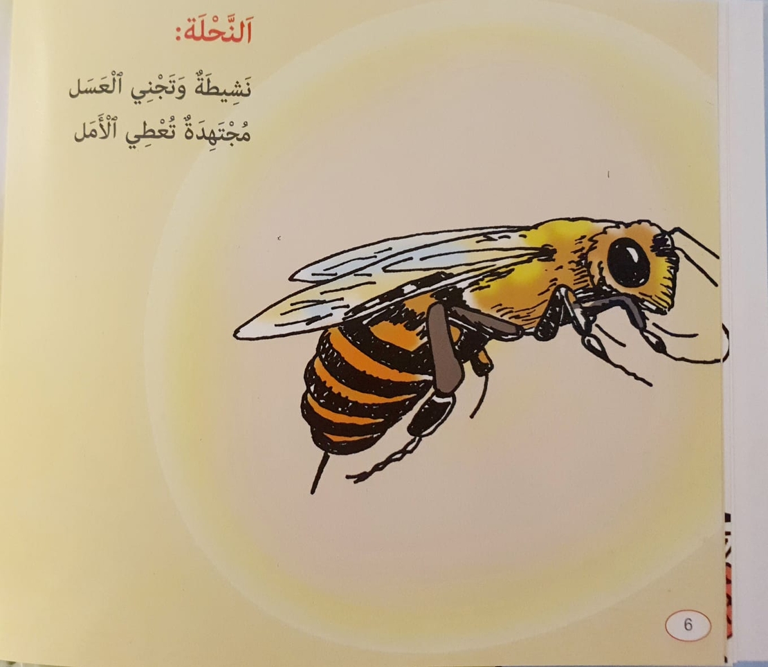 الحشرات والرخويات