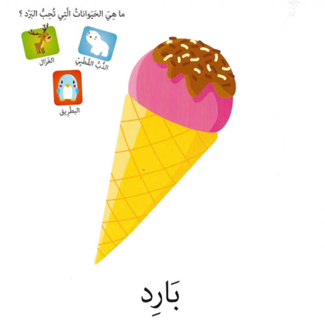 كلمات وصور – الأضداد