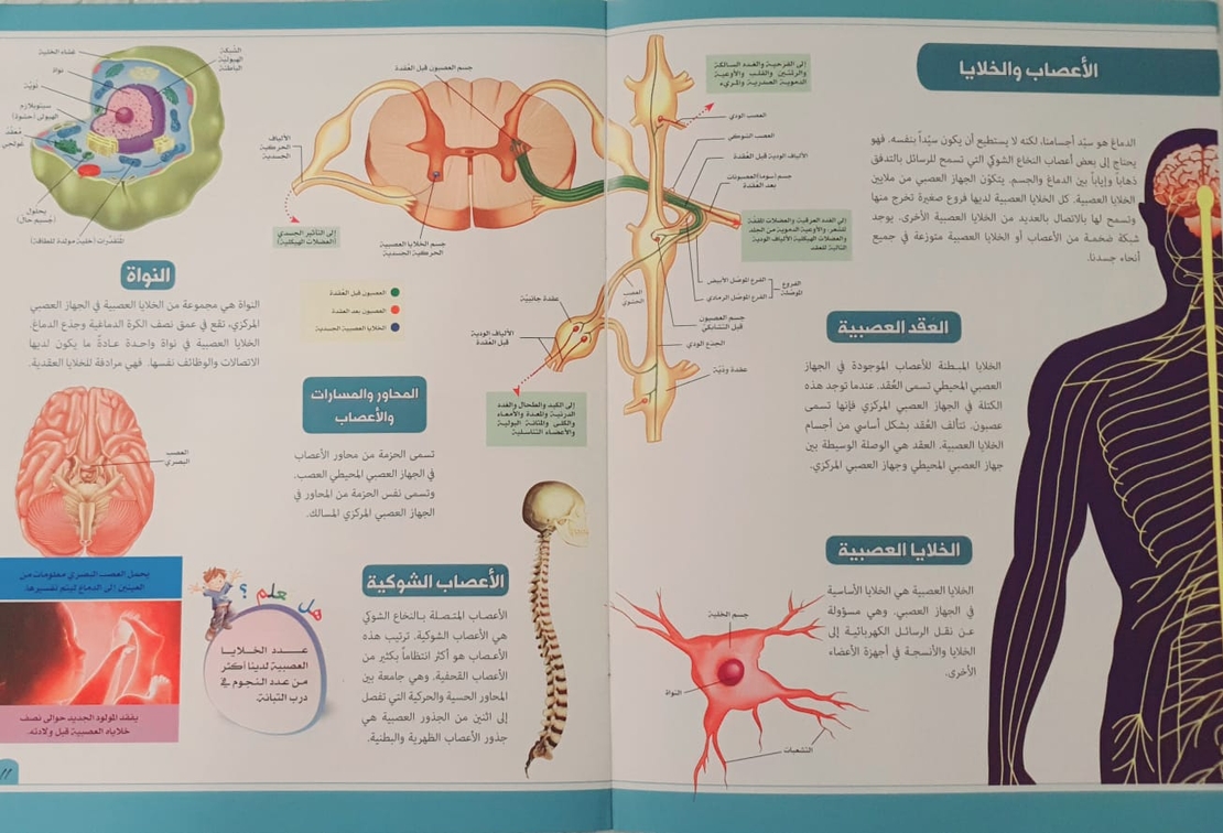 موسوعة جسم الانسان - الجهاز العصبي والجهاز المناعي والغدد