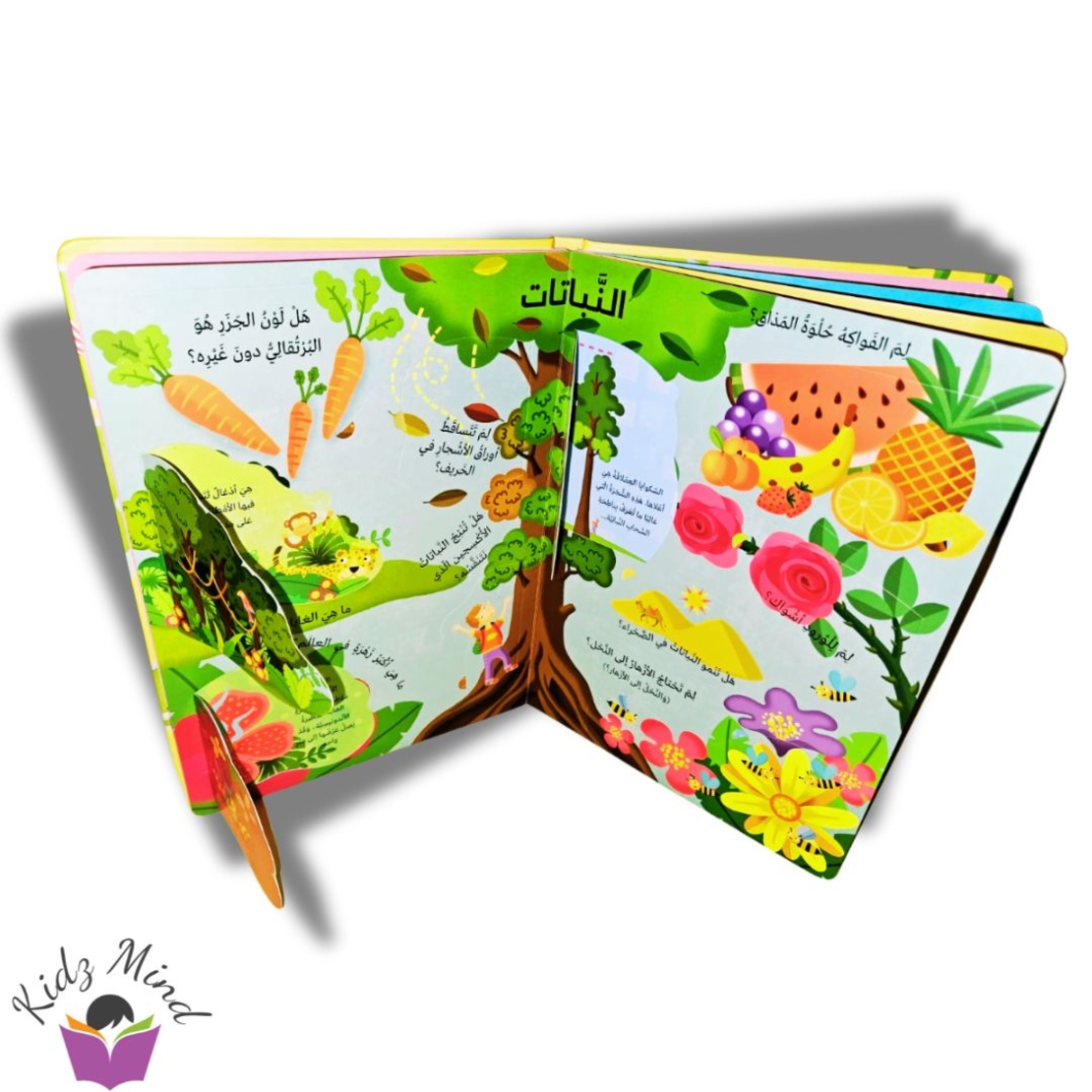 العالم - كتابي الكبير يجيب