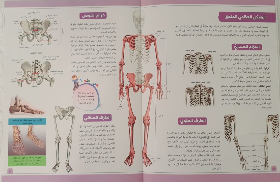 موسوعة جسم الانسان - الهيكل العظمي والعضلات