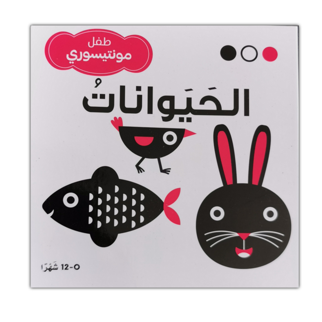 طفل مونتيسوري الحيوانات