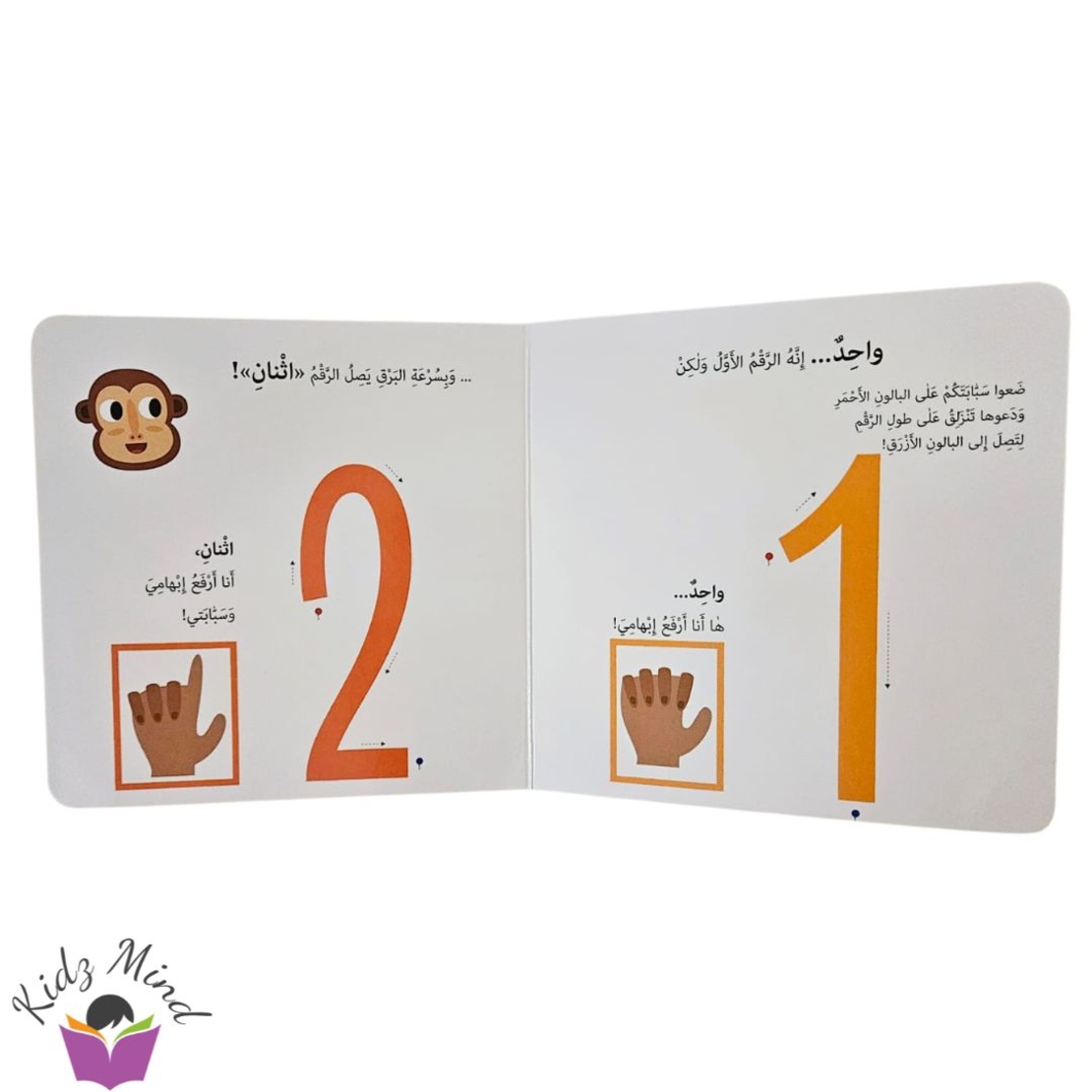 الأرقام - مونتيسوري