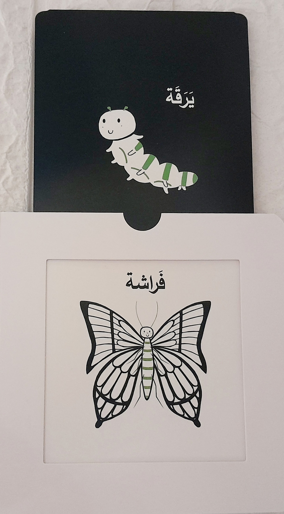 أكبر , وأنمو - كتاب التحفيز البصري للأطفال الرضع
