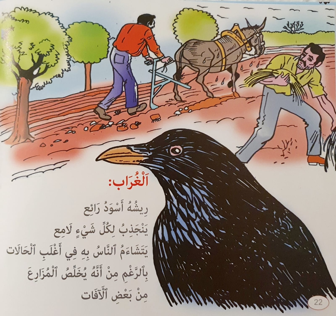 الطيور