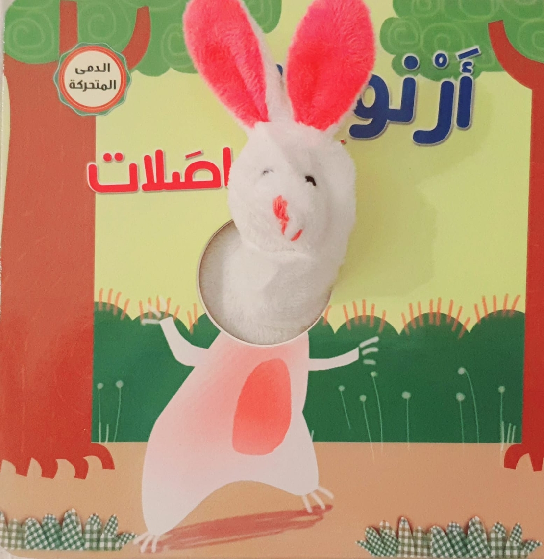 أرنوب والمواصلات