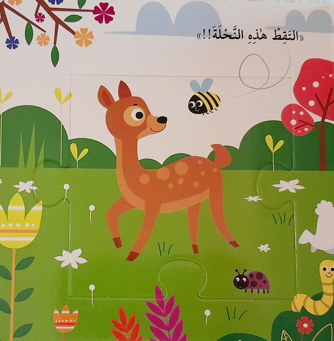 الفصول - كتاب الأحجية الكبيرة