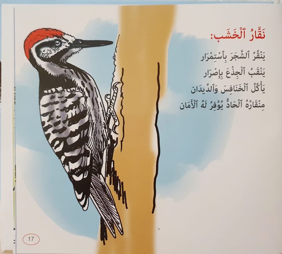 الطيور