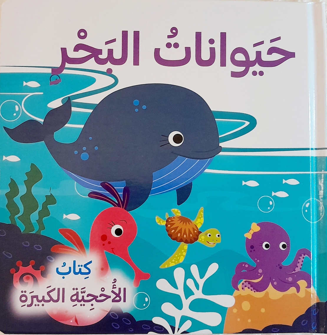 حيوانات البحر - كتاب الأحجية الكبيرة